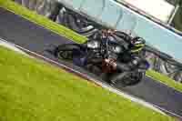 Evening Low_Mid Group Black Bikes